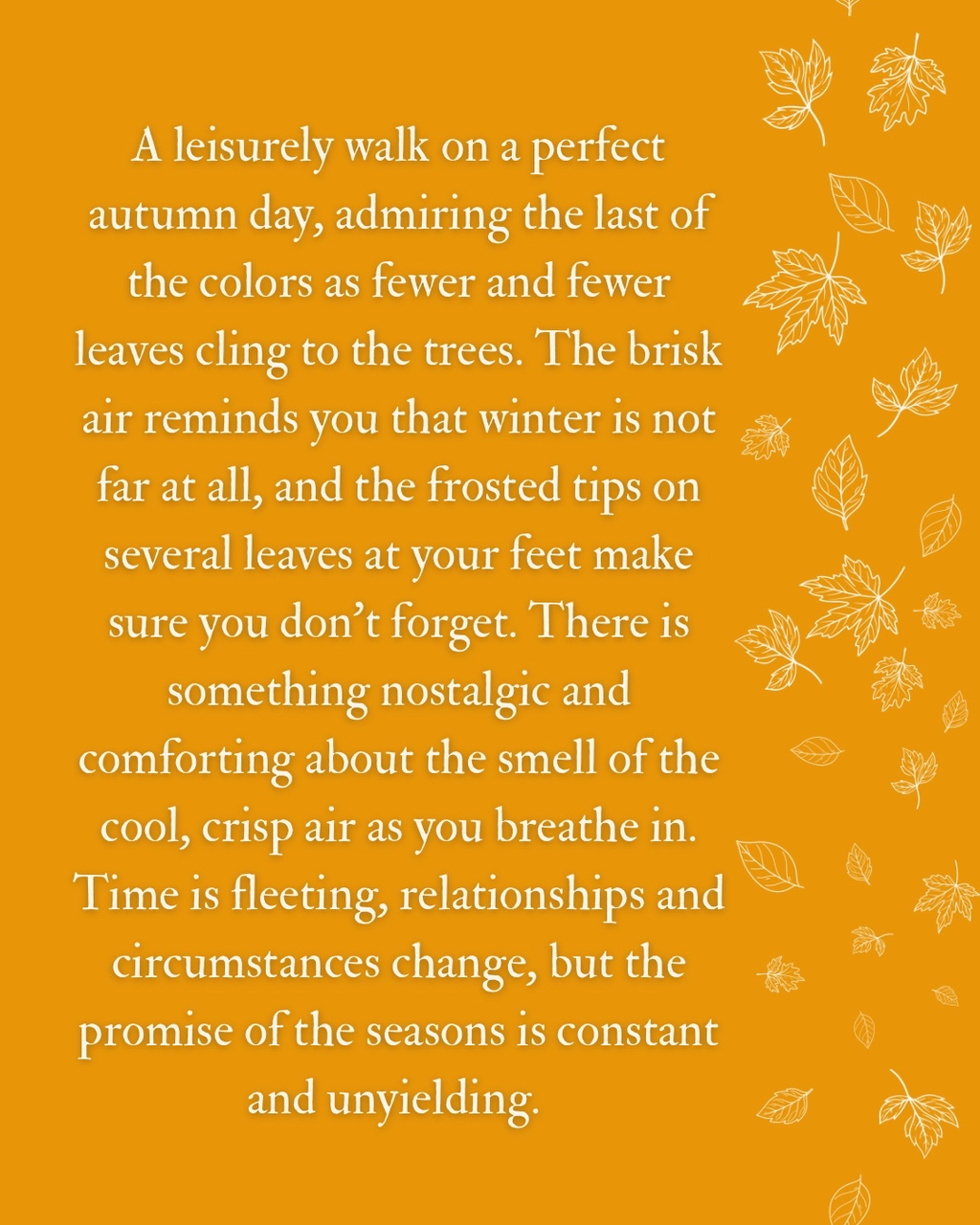 Autumn Frost - 9oz Candle