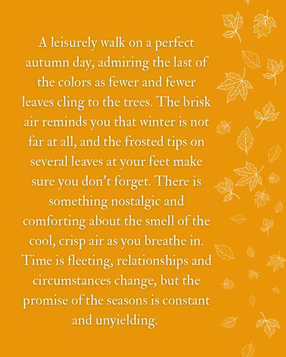 Autumn Frost - 9oz Candle